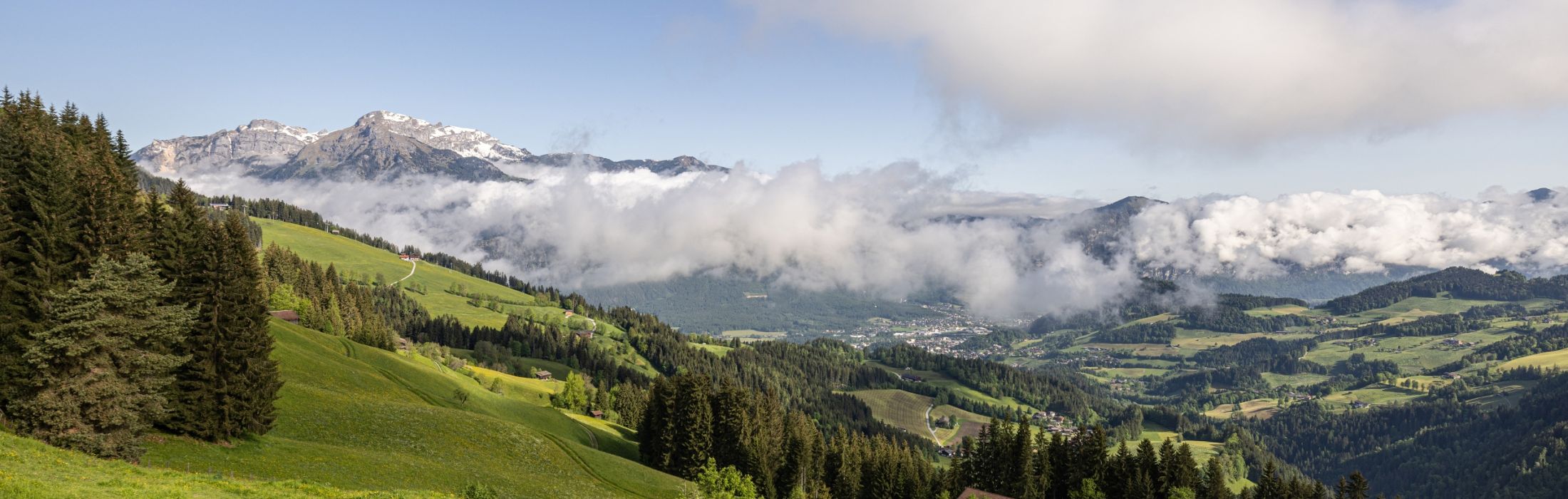Sommer im Alpbachtal in Tirol
